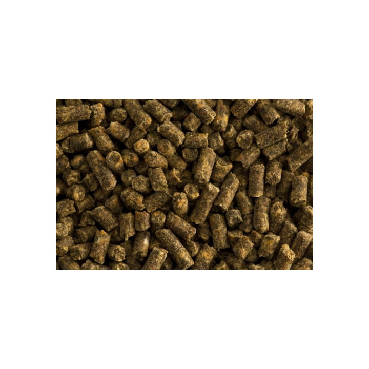 Witamina E z selenem ST.HIPPOLYT Vitamin E 1kg