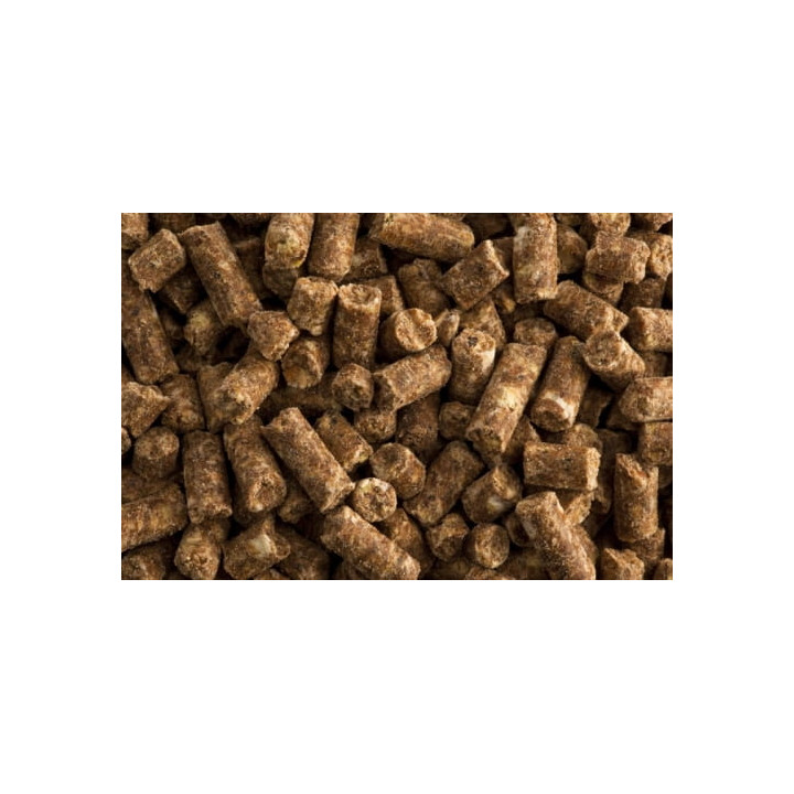 Pasza ST.HIPPOLYT Super Condition 10kg granulat