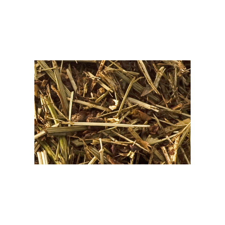 Pasza ST.HIPPOLYT Equigard 20kg musli