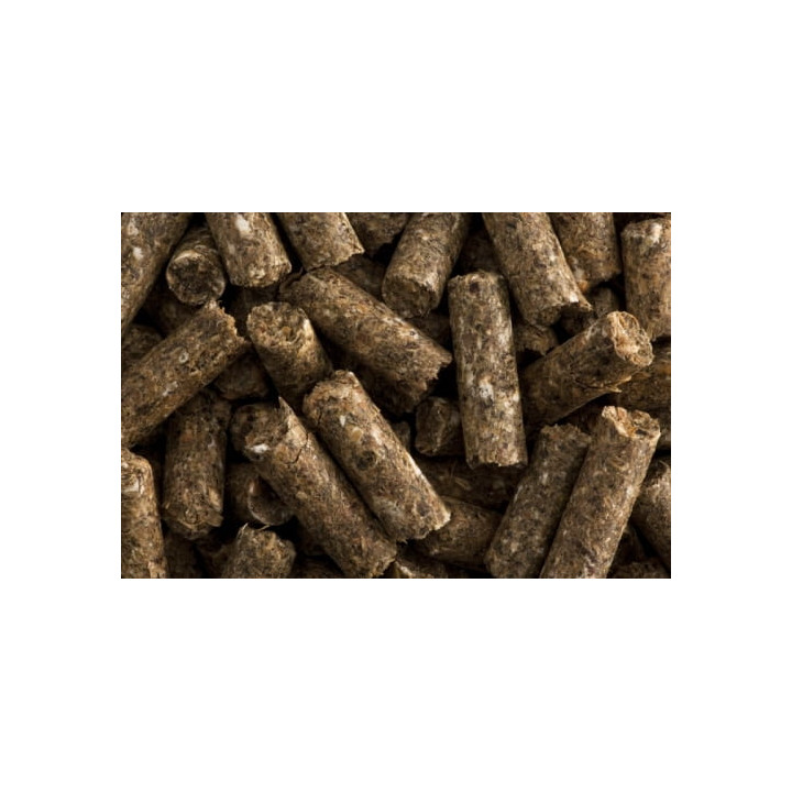 Pasza ST.HIPPOLYT La Rosslet Sport 25kg granulat