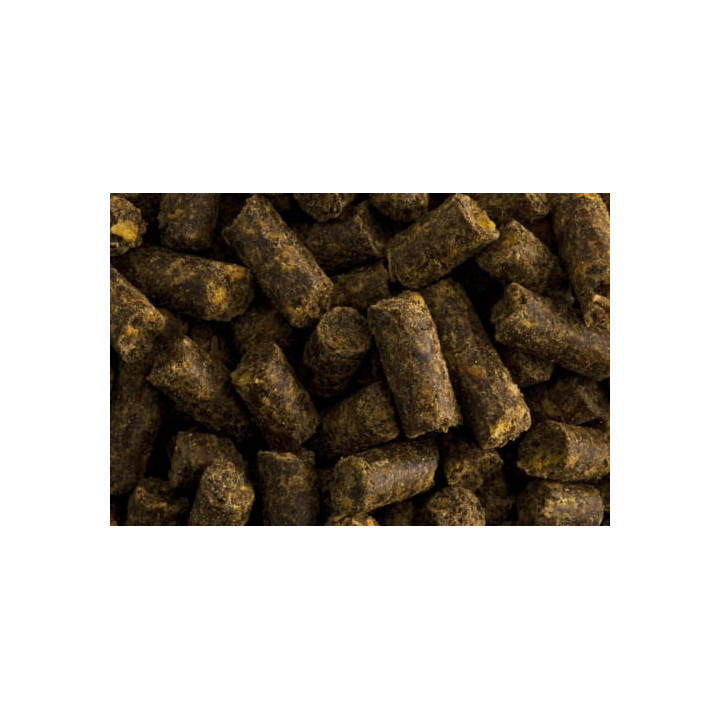 Czosnek ST.HIPPOLYT Knoblizem 10kg granulat