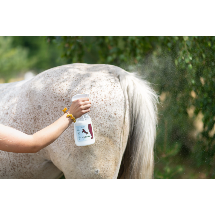 Odżywka do grzywy i ogona OH ChevaSilk 650ml spray