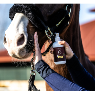 Balsam na otarcia OH SaniCreme 250g