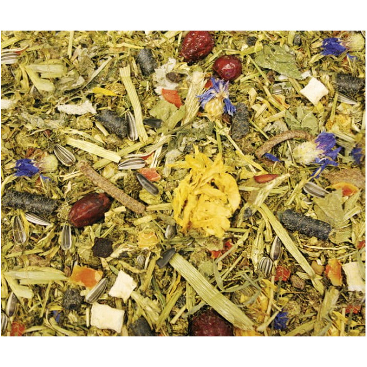 Pasza AGROBS AlpenGrun 15kg musli