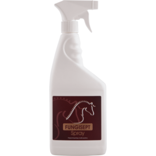 Preparat na grzybicę OH Fungisept Spray 500ml