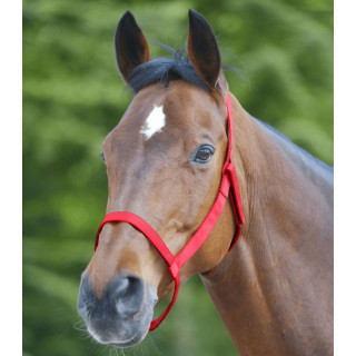 Kantar WALDHAUSEN Grazing