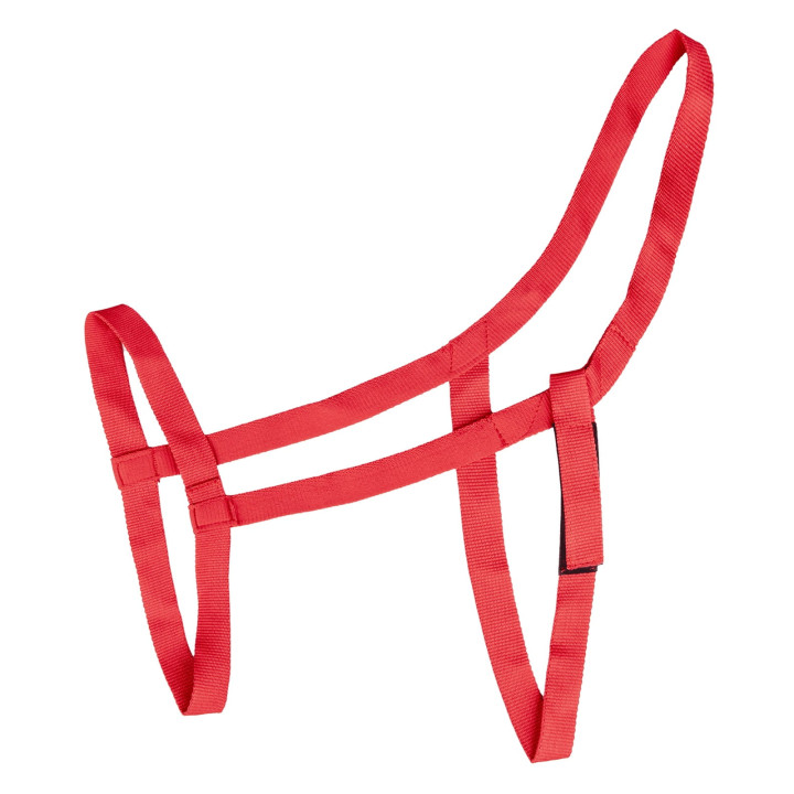 Kantar WALDHAUSEN Grazing