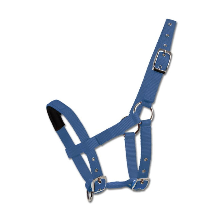 Kantar WALDHAUSEN MiniShetty