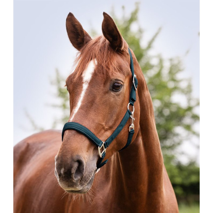 Kantar WALDHAUSEN Satin