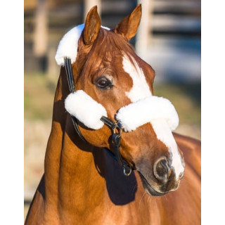 Futerka na kantar HORZE zestaw 4szt