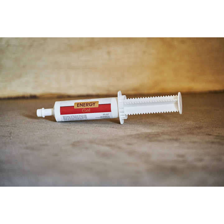 Mieszanka paszowa OH Energy Gel 100ml