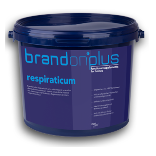 Suplement ST.HIPPOLYT Respiraticum 3kg granulat