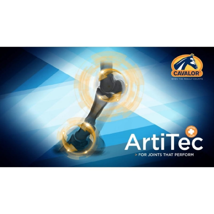 Preparat przeciwzapalny CAVALOR ArtiTec 2000ml