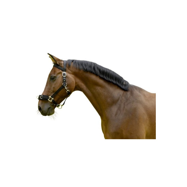 Kawecan KERBL Plastic