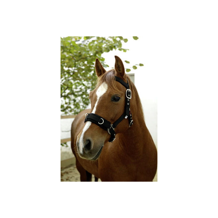 Kawecan KERBL Plastic