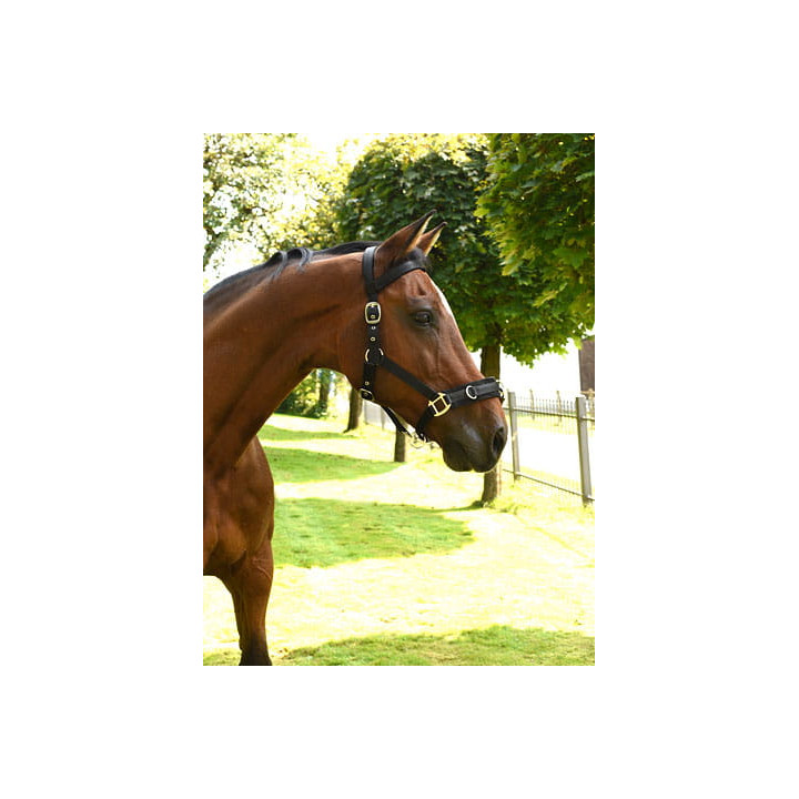 Kawecan KERBL Plastic