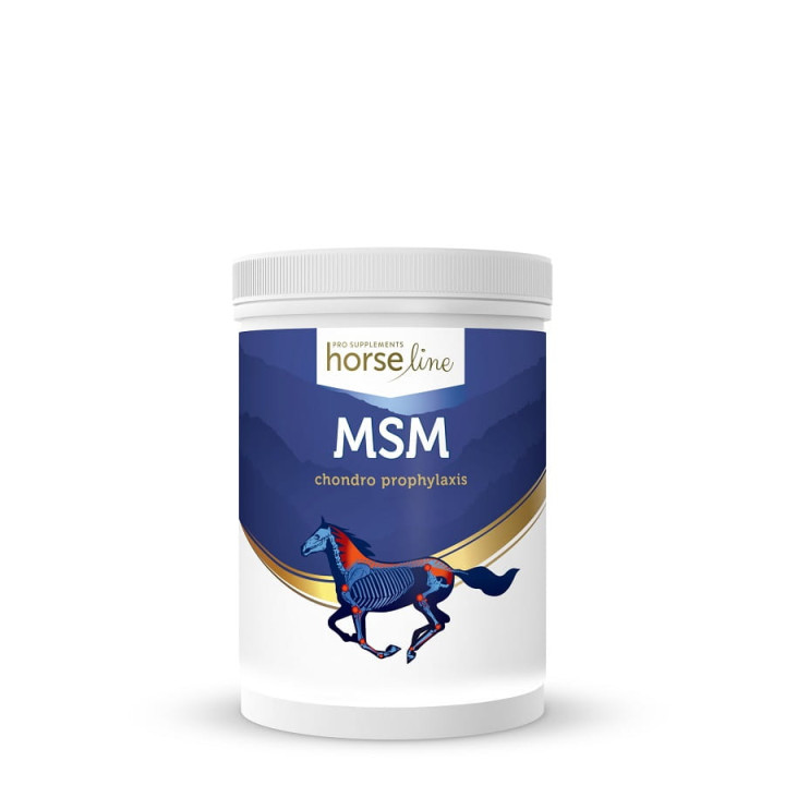 Suplement na stawy HORSE LINE MSM 700g