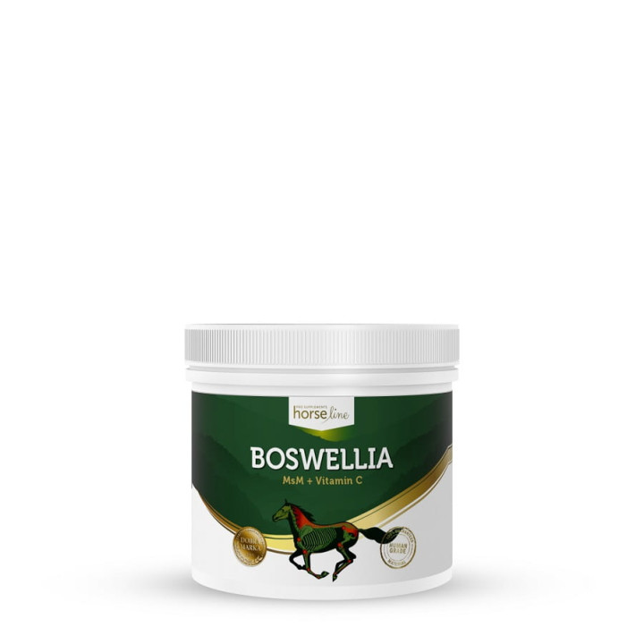 Suplement na stawy HORSE LINE Boswellia 500g