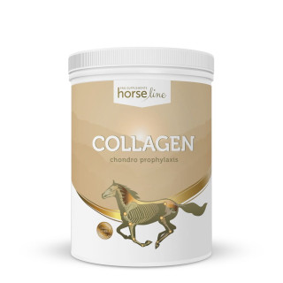 Suplement na stawy HORSE LINE Kolagen 800g