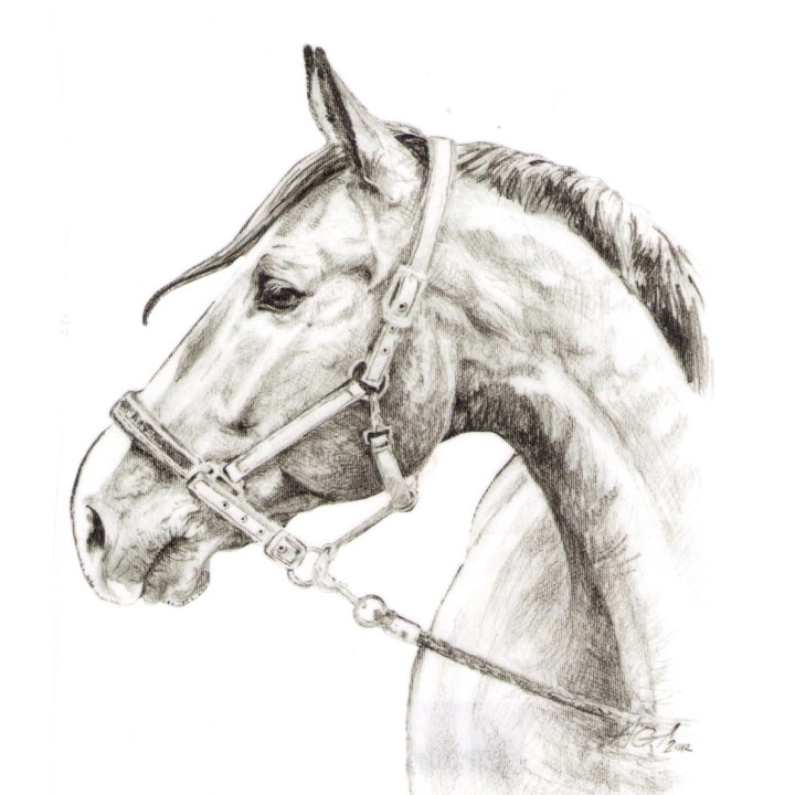 Naklejka na samochód DO STAJNI rysunek 1 black