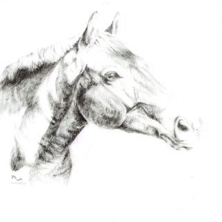 Naklejka na samochód DO STAJNI rysunek 2 black