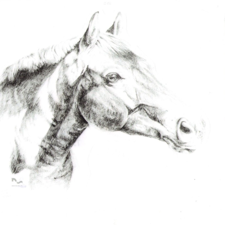 Naklejka na samochód DO STAJNI rysunek 2 black