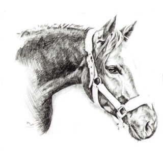 Naklejka na samochód DO STAJNI rysunek 3 black