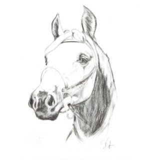 Naklejka na samochód DO STAJNI rysunek 4 black