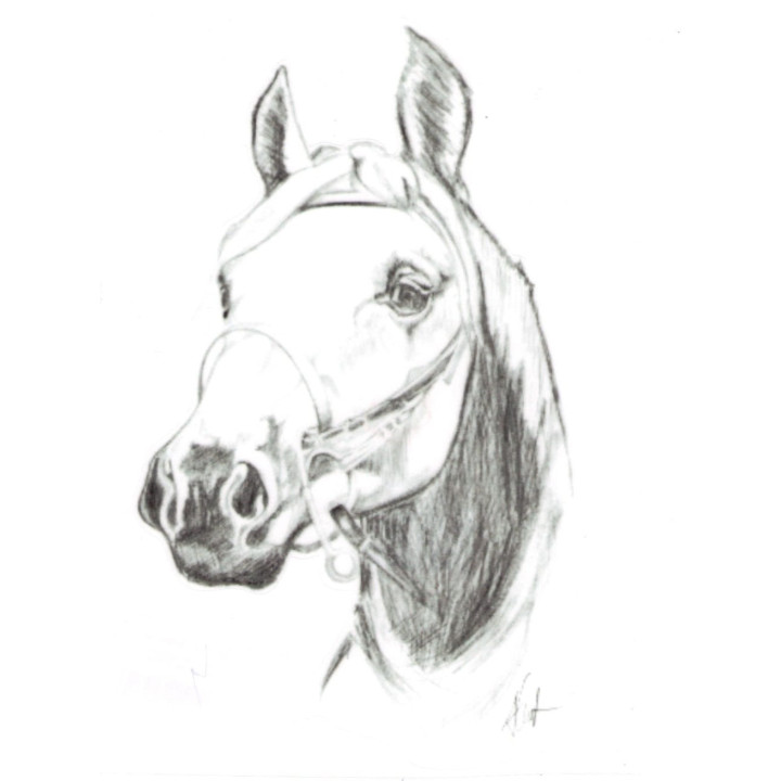 Naklejka na samochód DO STAJNI rysunek 4 black