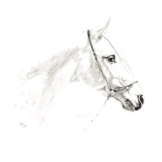 Naklejka na samochód DO STAJNI rysunek 5 black