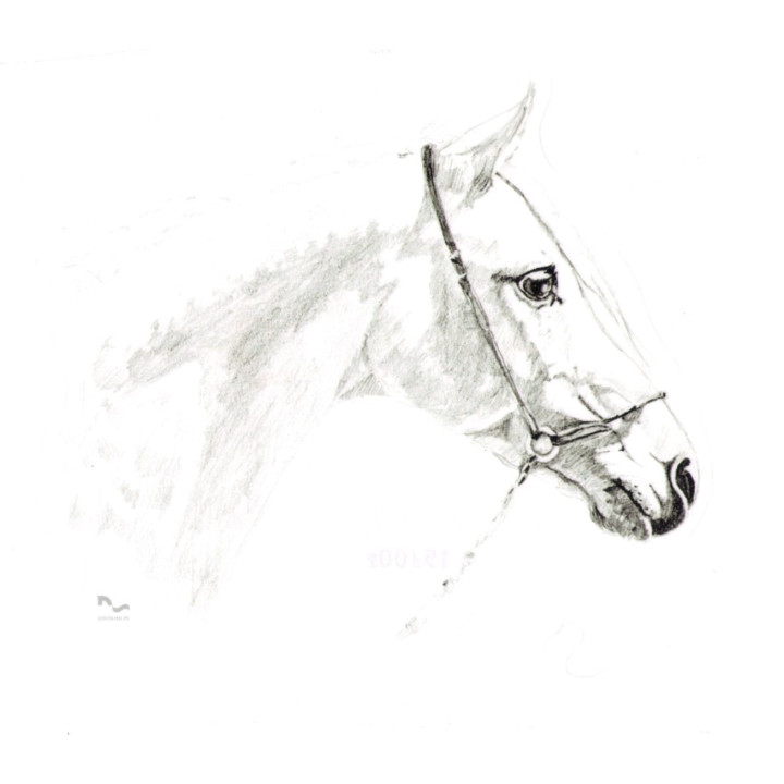 Naklejka na samochód DO STAJNI rysunek 5 black