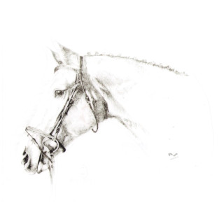 Naklejka na samochód DO STAJNI rysunek 6 black