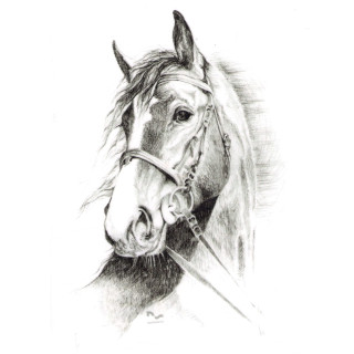 Naklejka na samochód DO STAJNI rysunek 7 black