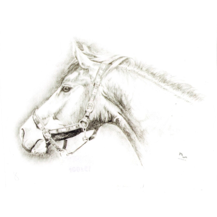 Naklejka na samochód DO STAJNI rysunek 8 black