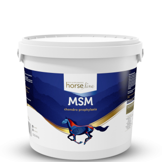 Suplement na stawy HORSE LINE MSM 3000g