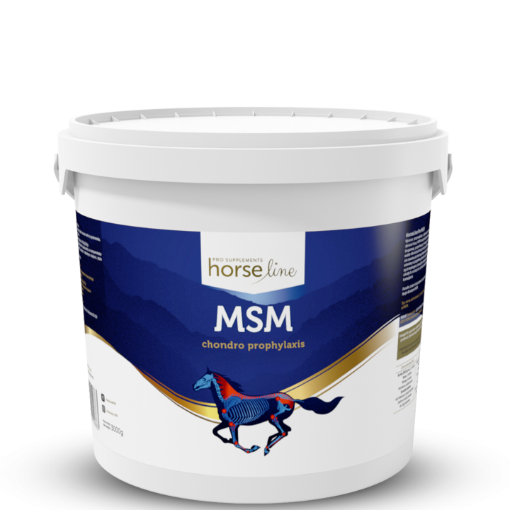 Suplement na stawy HORSE LINE MSM 3000g