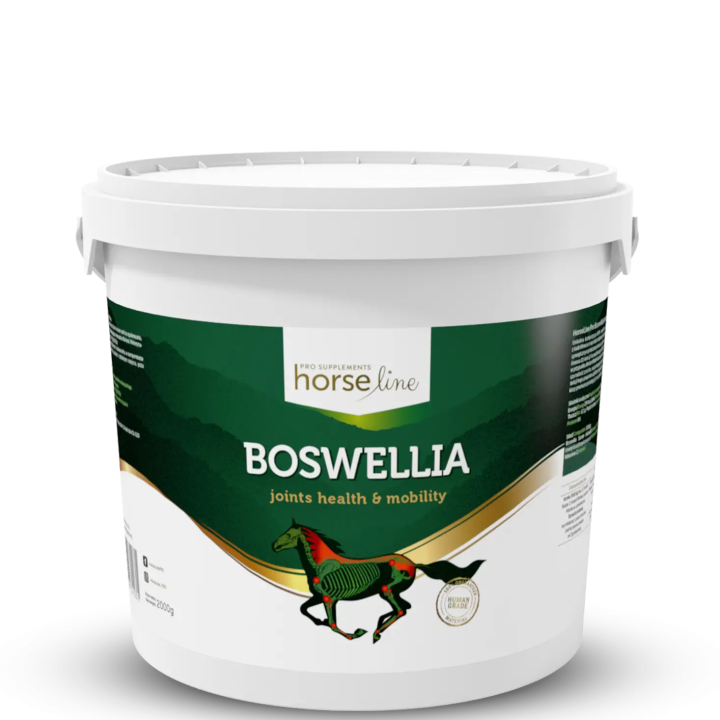 Suplement na stawy HORSE LINE Boswellia 2000g