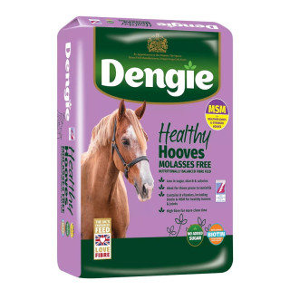 Sieczka DENGIE Healthy Hooves bez melasy 20kg