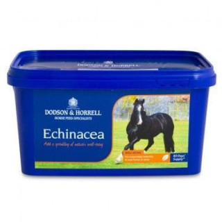 Echinacea D&H suszona 1kg
