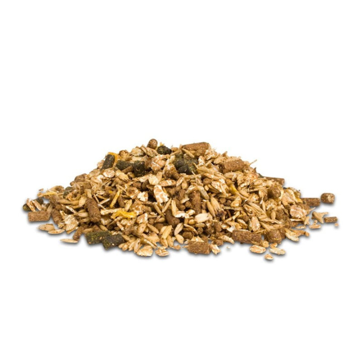 Pasza D&H Sixteen Plus Mix 20kg musli