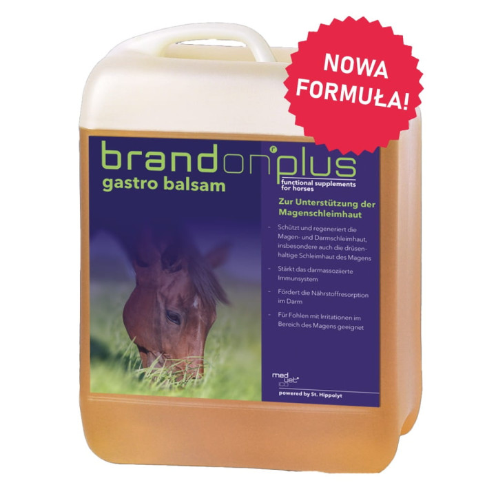 Preparat ST.HIPPOLYT Brandon+ Gastro Balsam 2,5l