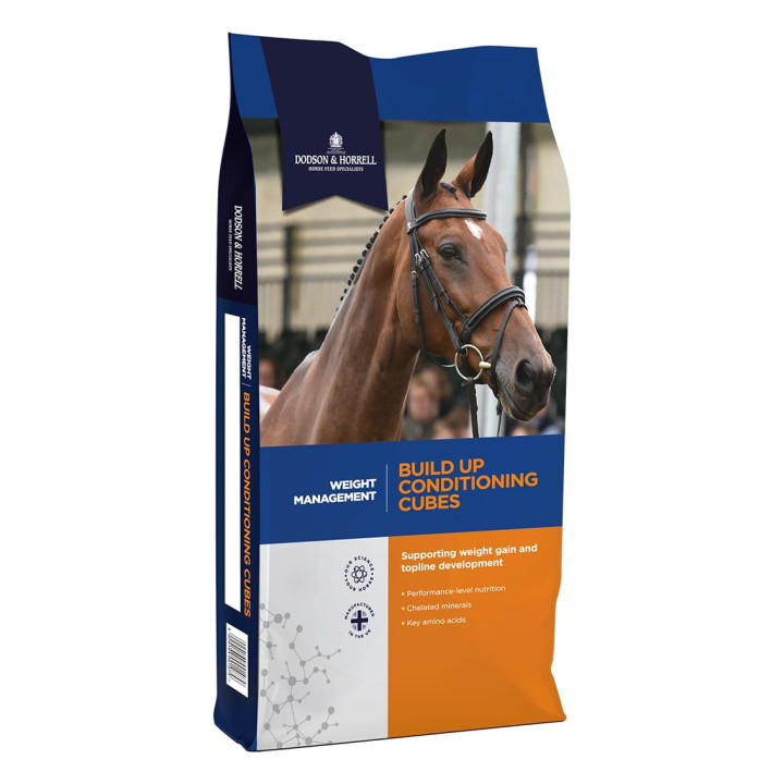 Pasza D&H Build Up Cubes 20kg granulat