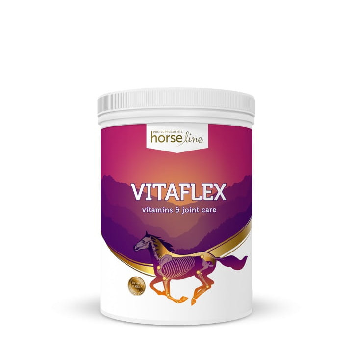 Witaminy i minerały HORSE LINE VitaFlex 2000g