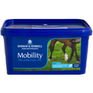 Suplement D&H Mobility wspomaga układ ruchu 1kg
