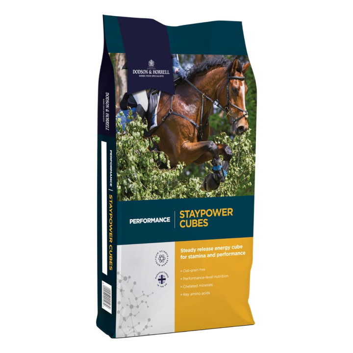 Pasza D&H Stay Power Cubes 20kg pelet