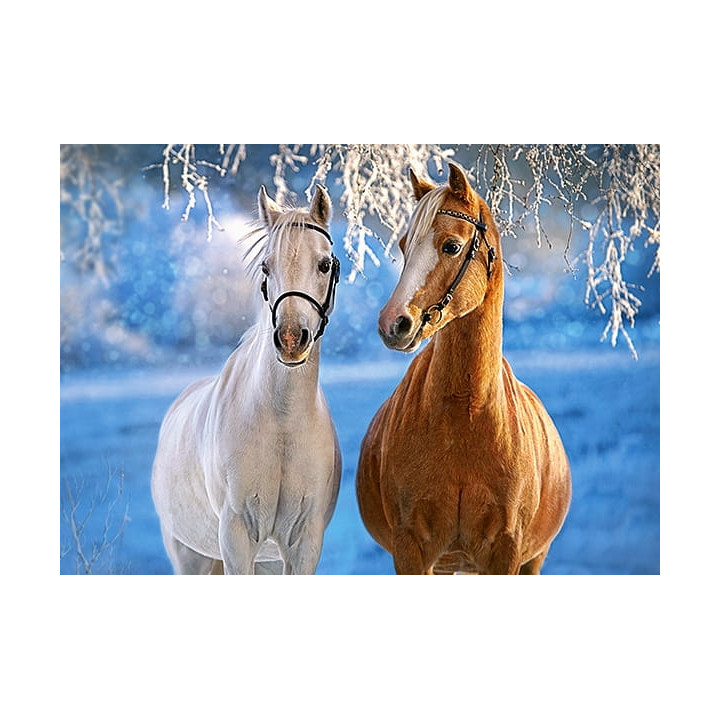 Puzzle CASTORLAND Winter Horses 260 elementów