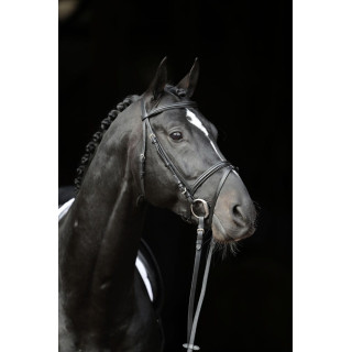 Ogłowie COVALLIERO Standard