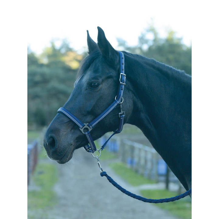 Kantar BUSSE Smooth Soft