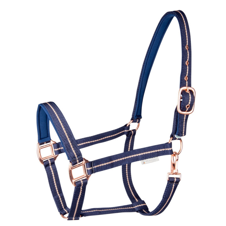 Kantar WALDHAUSEN Rose