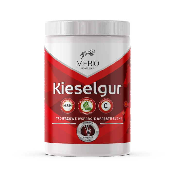 Krzem MEBIO MSM+Witamina C 1kg